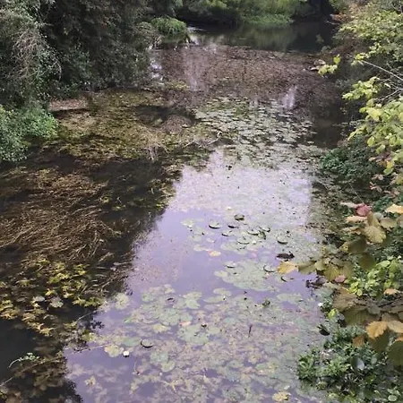 Dom wakacyjny Le Moulin Chaillou *